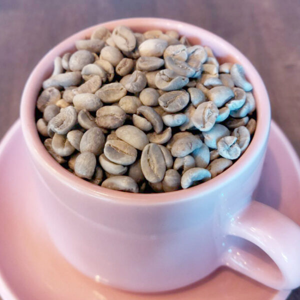 ハニーブルボン SHG