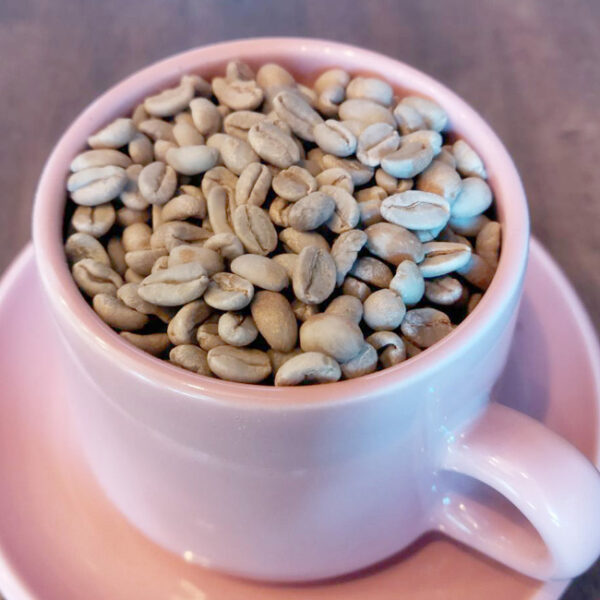 モカ イルガチェフ