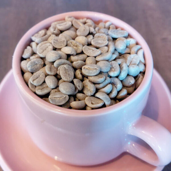 キリマンジャロ マサマムーラ