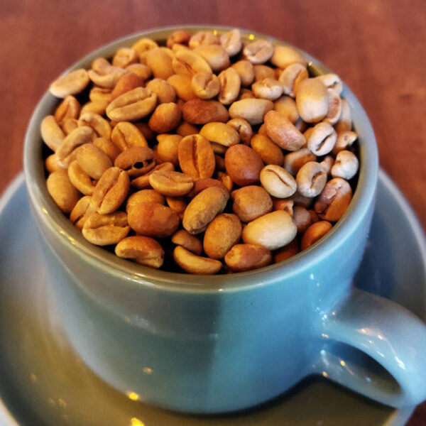 パナマベルリナ農園 ゲイシャ