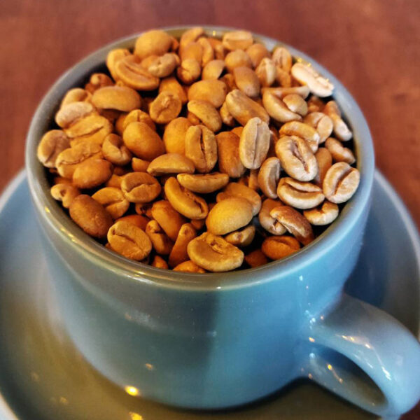 限定品 コピ ルアック