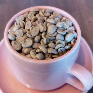 ショコラナチュラル BSCA