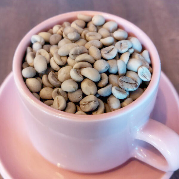 スパイシートラジャ G1