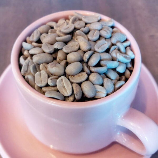 トロピカル マウンテン