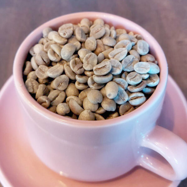 樹上完熟 晩秋摘み